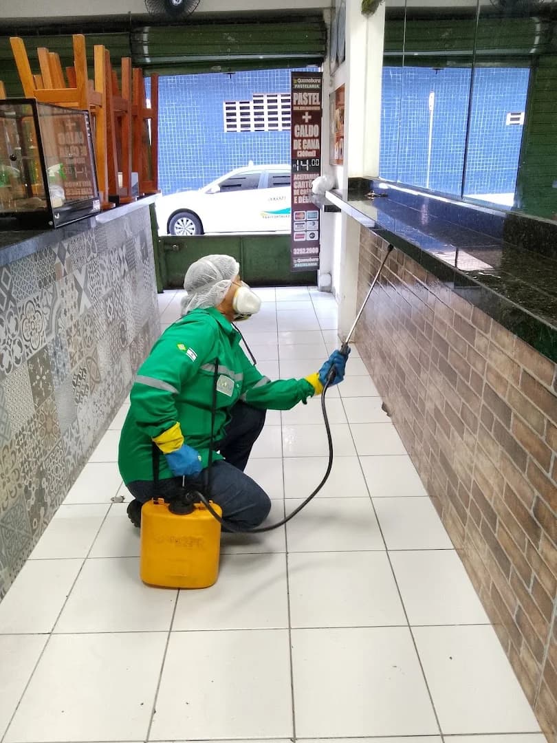 Dedetizadora/Controle de pragas - Noprag Saúde Ambiental – foto 2