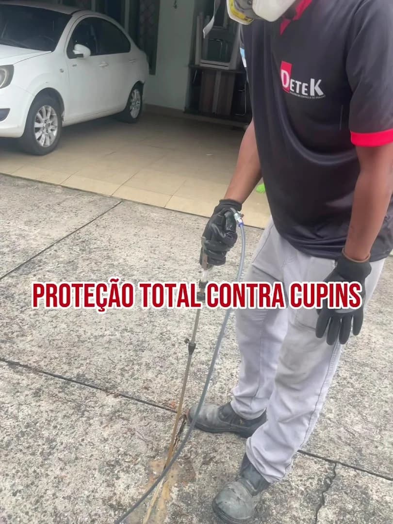 Detek Dedetizadora - Dedetização e Controle de Pragas – foto 2