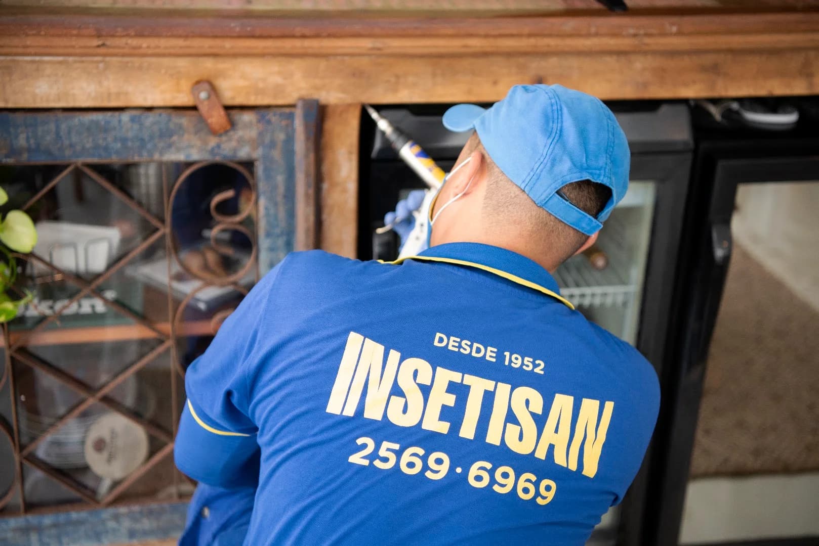 Insetisan – foto 1
