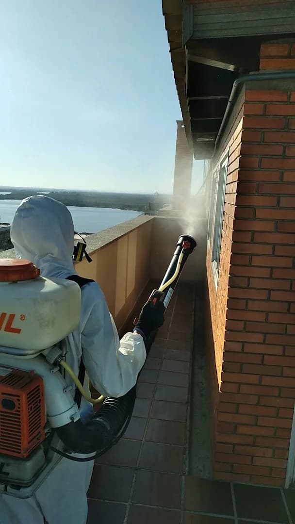 ANTIPRAGAS DEDETIZADORA E SERVIÇOS LTDA – foto 2