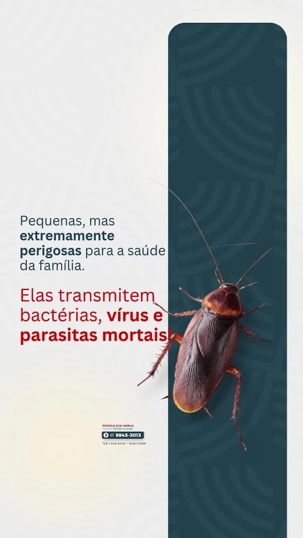 Vetor Clean Soluções – foto 2