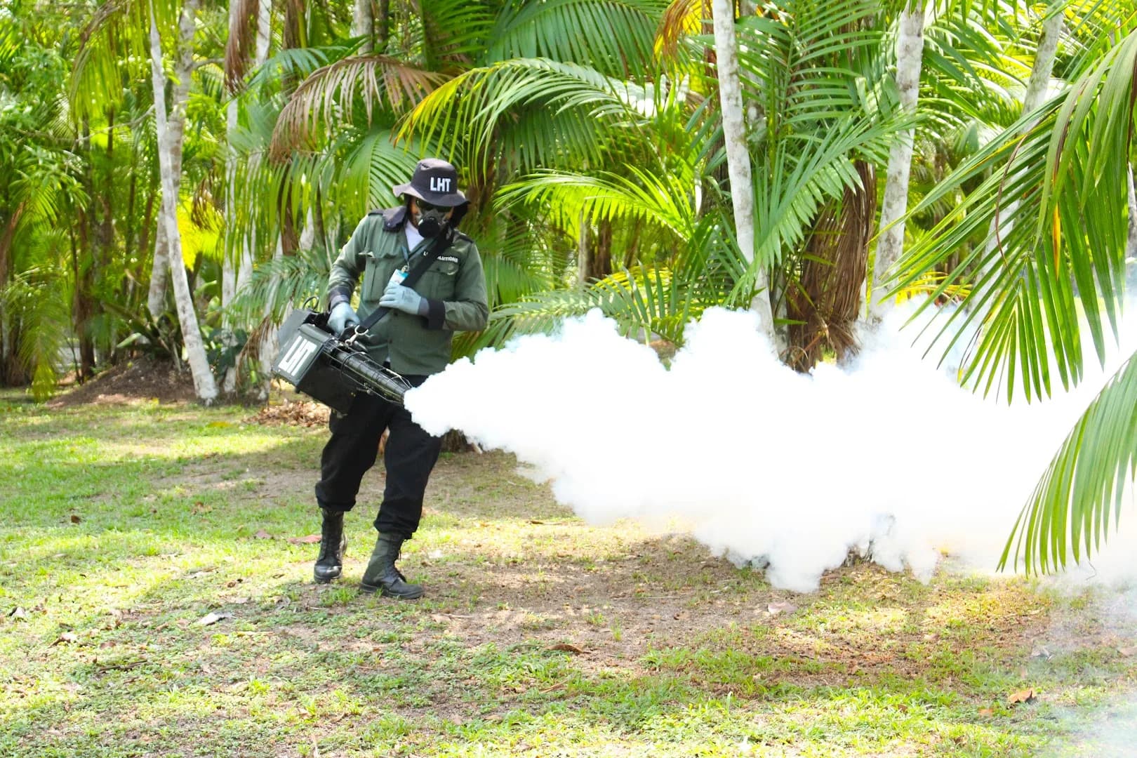 LHT Solutions Dedetizadora | Controle de Pragas em Manaus – foto 1