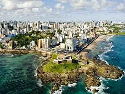 A Baratinha Controle de Pragas – foto 2