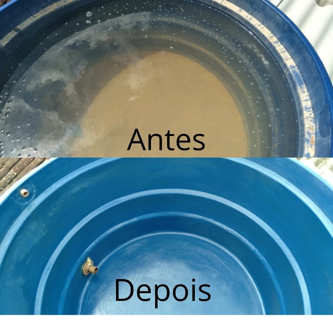 Global controle de pragas dedetização – foto 1