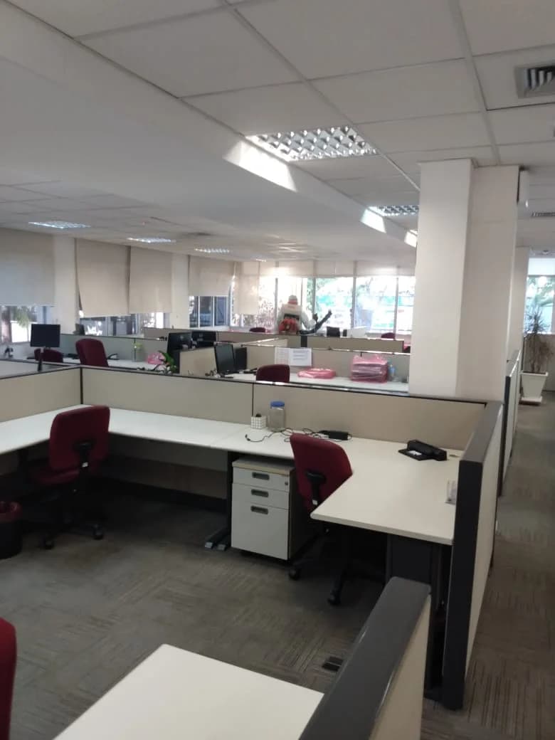 Ecoprag Soluções Ambientais - Dedetizadora – foto 1