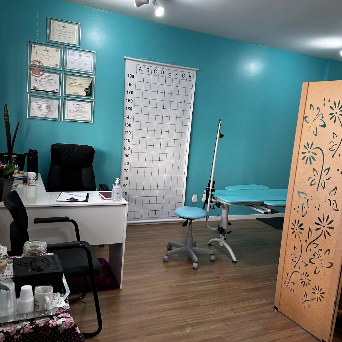 Pilates, RPG e Fisioterapia - Dra. Simone Arando