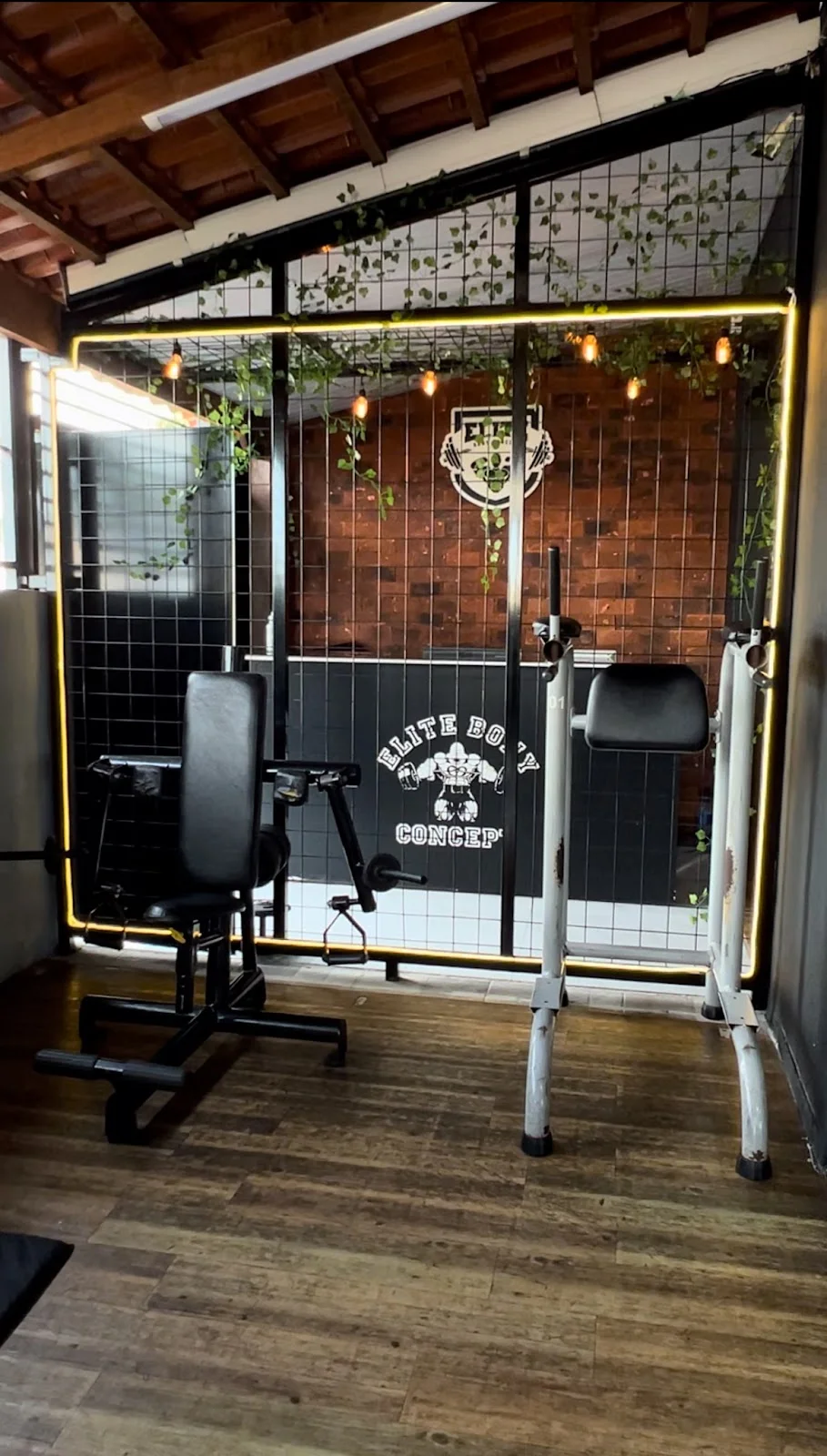 Academia Elite Bony Concept