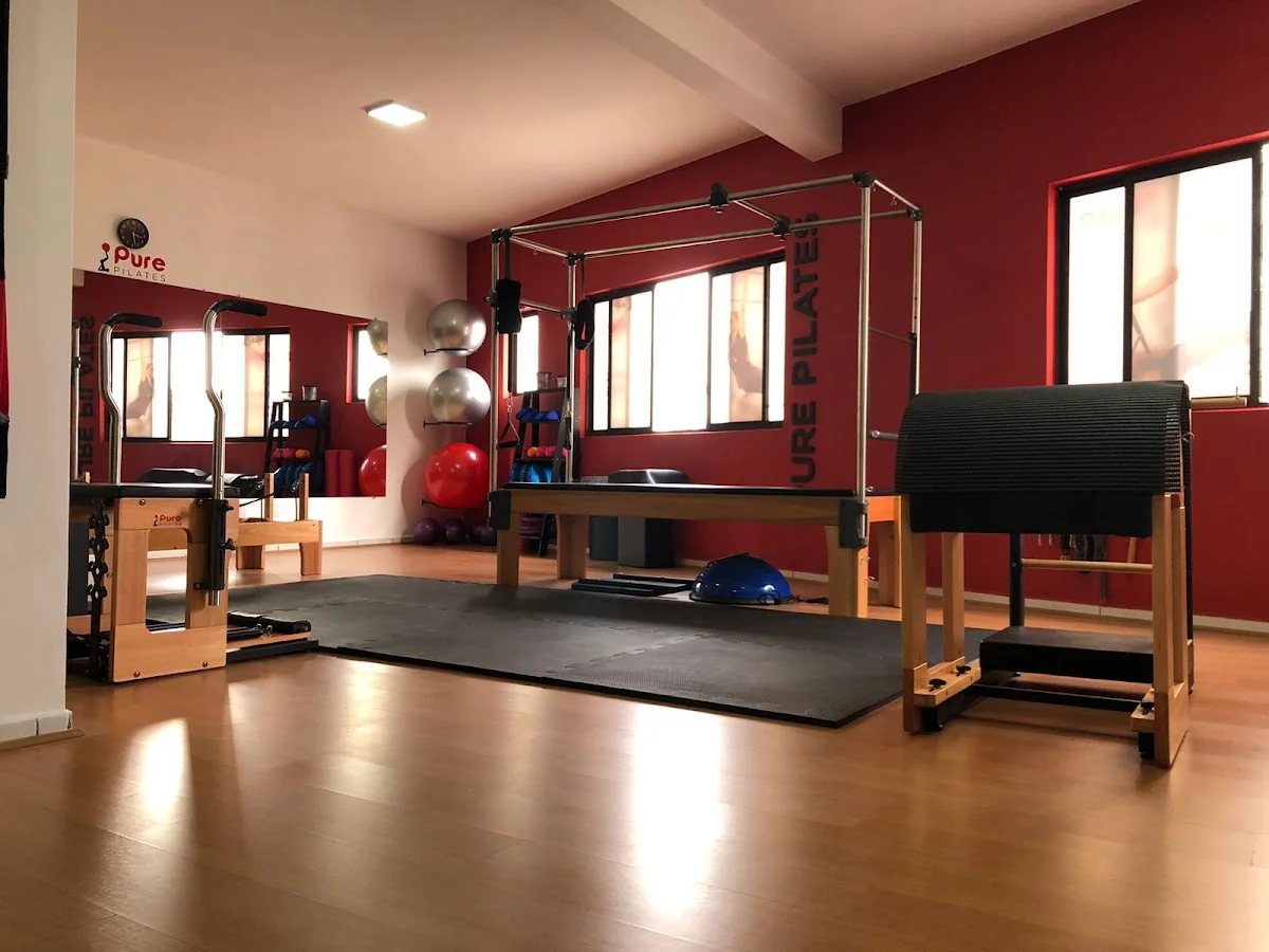 Pure Pilates - Cachoeirinha - Santana Parque