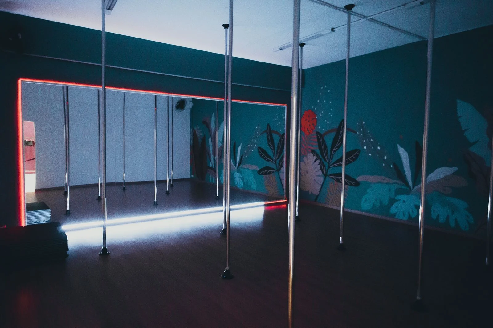 Valkirias Pole Dance