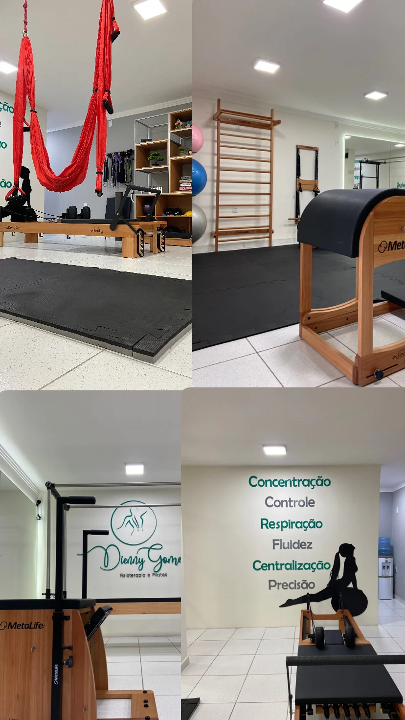Dienny Gomes Fisioterapia e Pilates