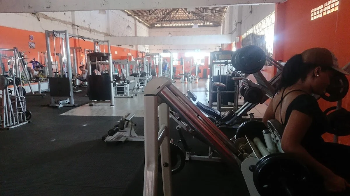 Academia Gold Fitness