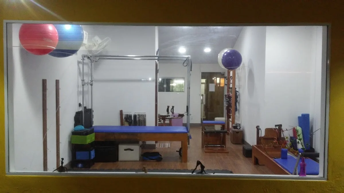 Estúdio Tris - Corpo em Movimento - Pilates Gyrotonic