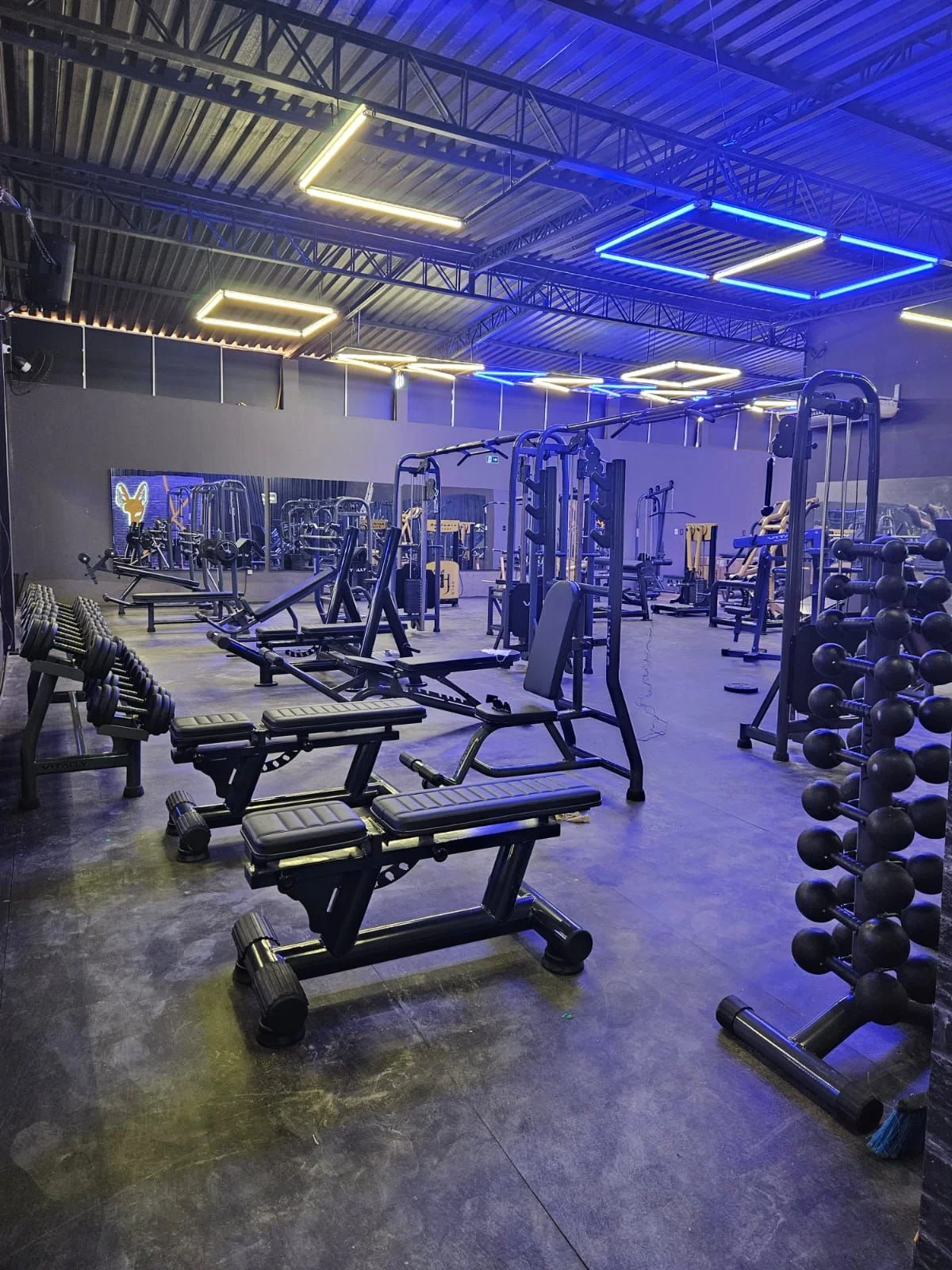 Chacal Fitness