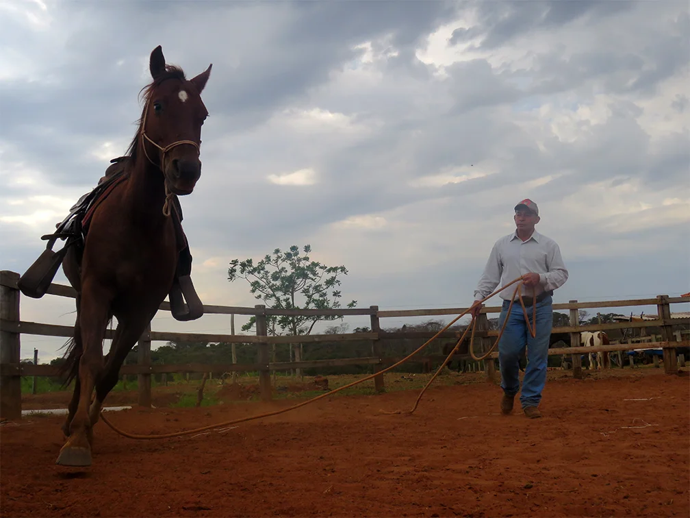 JCosta Treinamento para Cavalos de Corrida