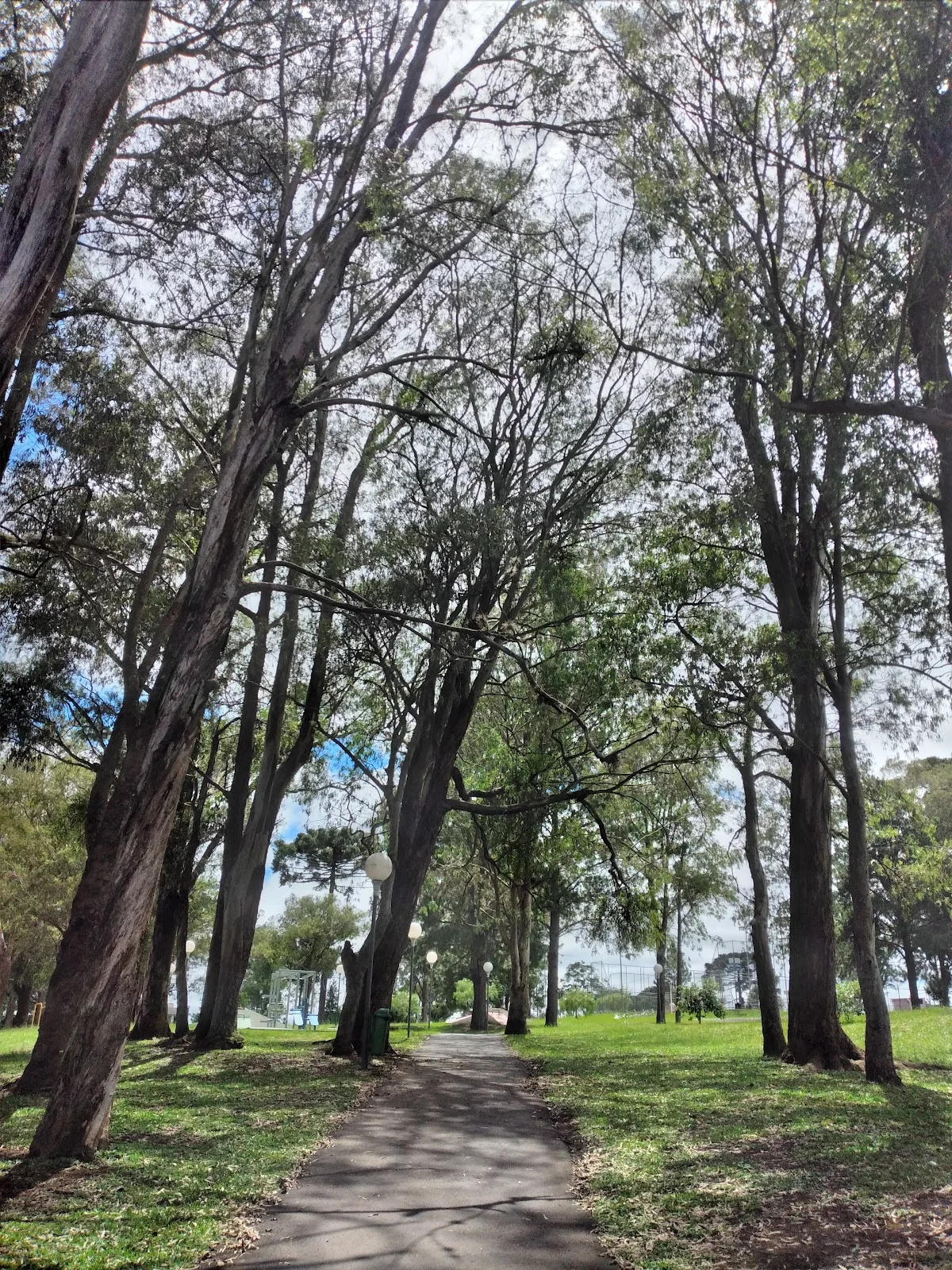 Parque Monteiro Lobato