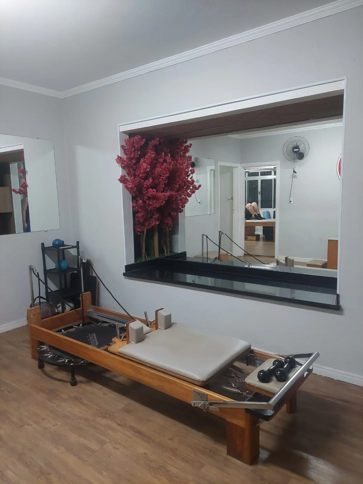 Clínica de fisioterapia pró pilates