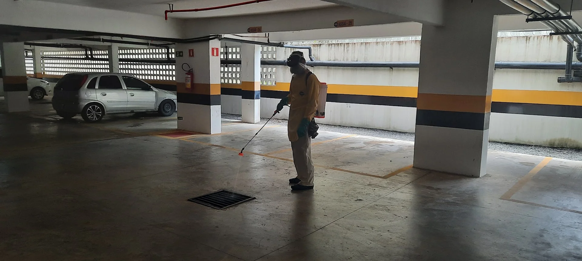 Dedetização - Detetec Controle de Pragas