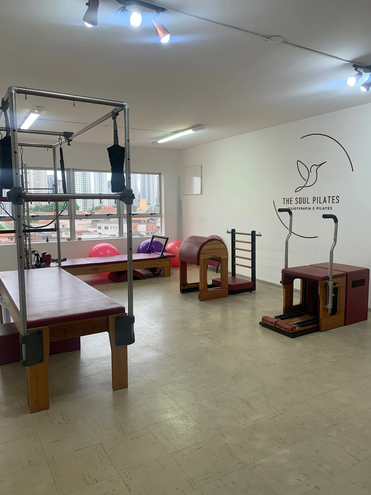 The Soul Pilates e Fisioterapia