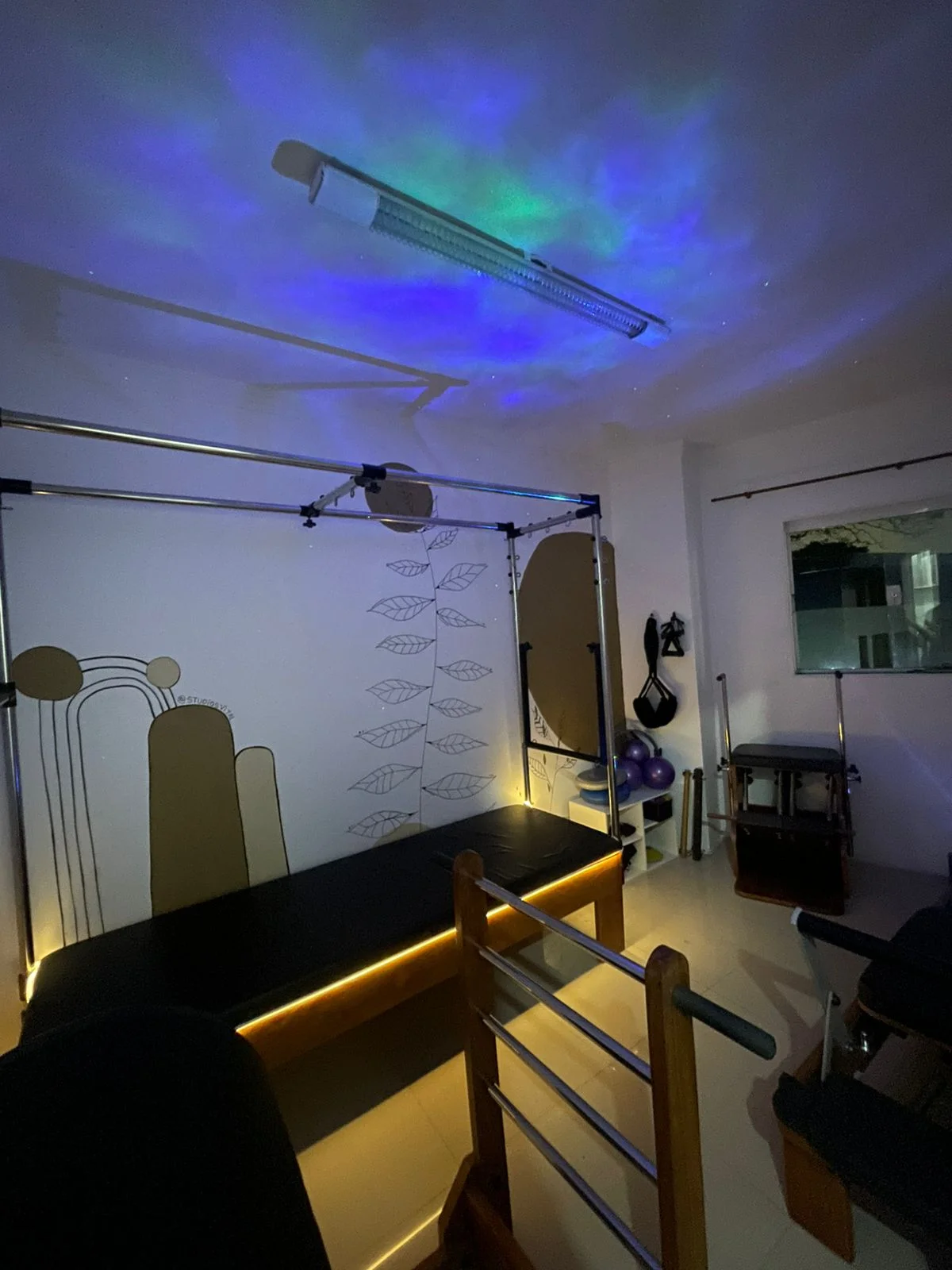 Vital Pilates e Fisioterapia