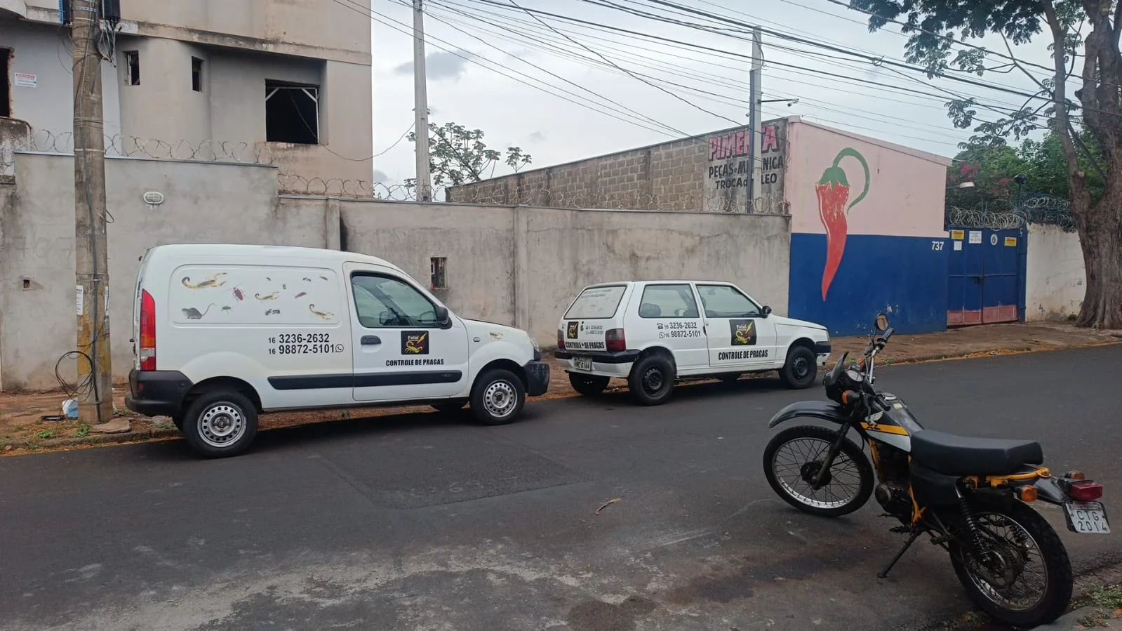 Dedetizadora em Ribeirão Preto - Controle de Pragas | Fatal Insects