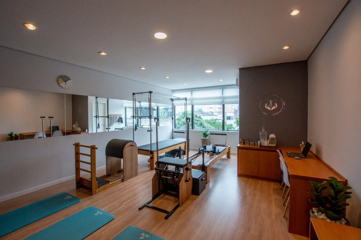 Studio de Pilates e Fisioterapia Viviane Baldresca