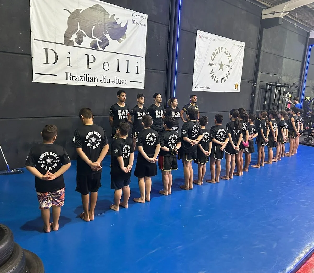 Chute Boxe Coliseu (Alziro Zarur)