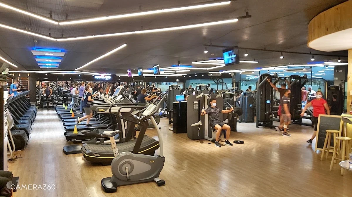 Academia Max Forma Prime