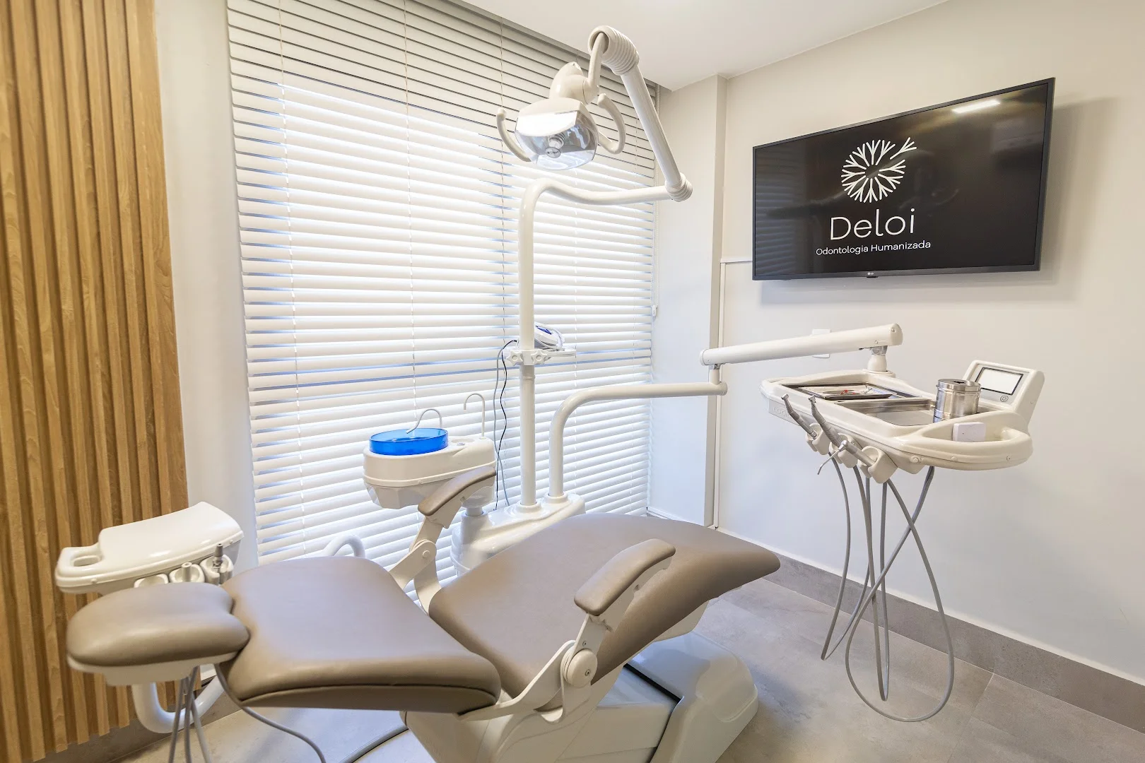Deloi Odontologia Humanizada