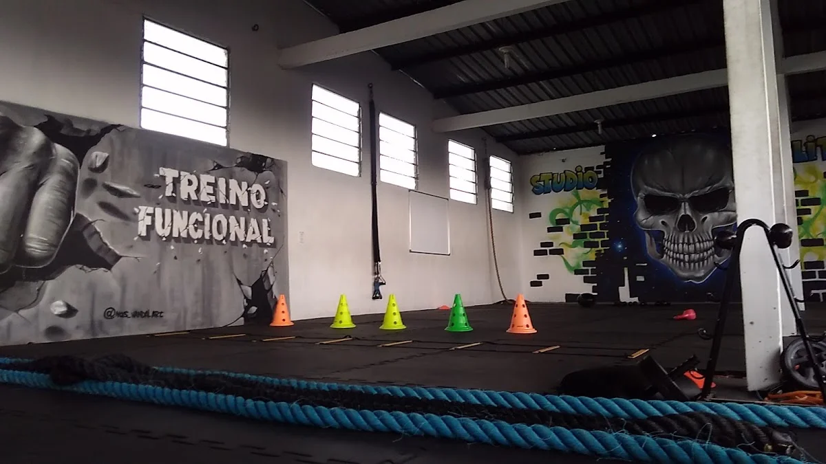 Studio Elite - Prof. Alvaro Martins