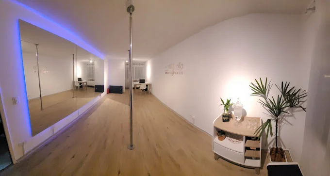 Studio Andreia Zaneti [Pilates | Pole Dance | LPF | Massoterapia] Santa Felicidade