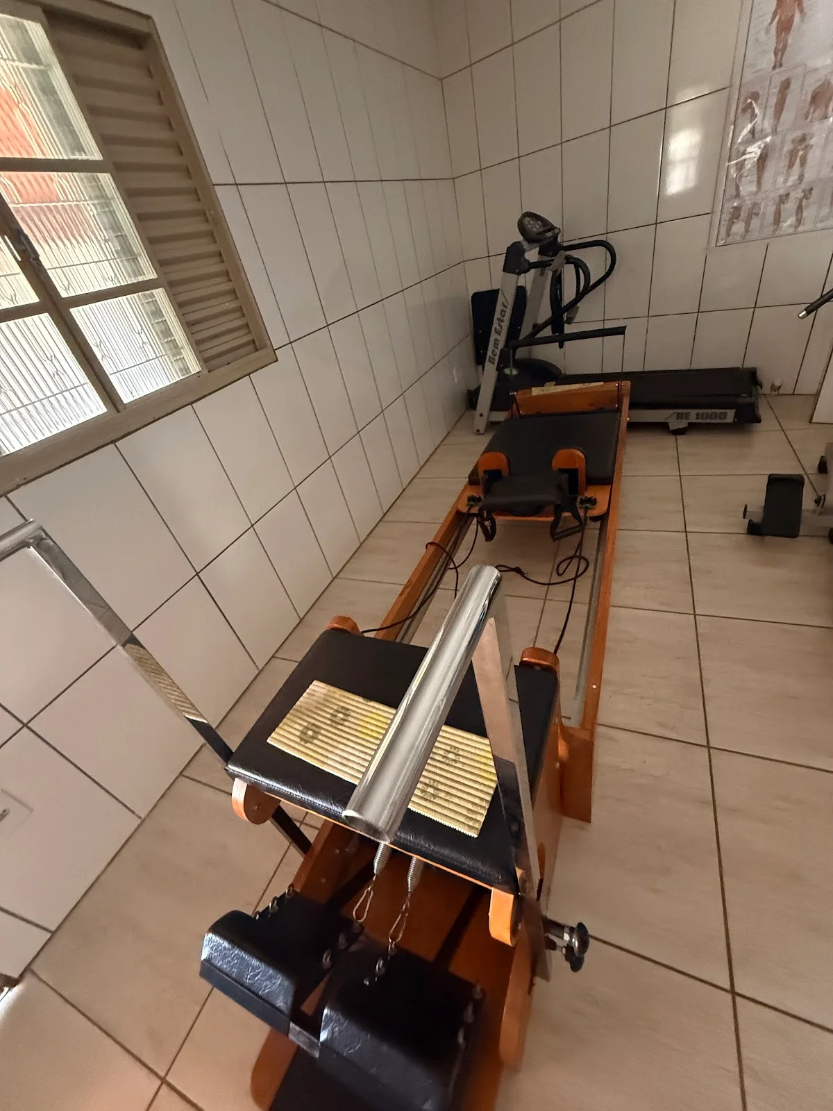 SPINA DORSALE - Fisioterapia - Pilates