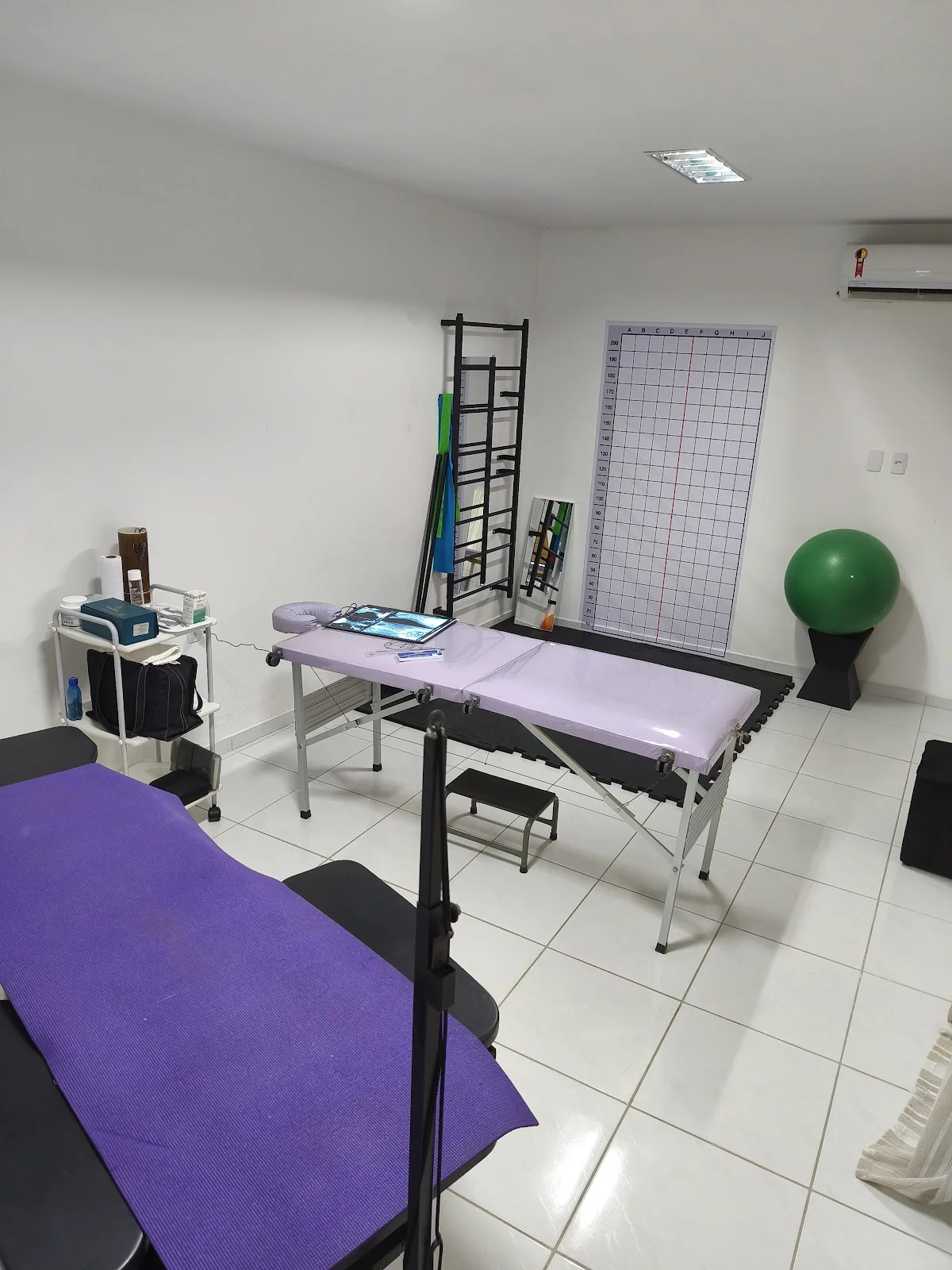 Dra Isadora Arruda - Fisioterapeuta - Tratamento específico para Escoliose e disfunções posturais