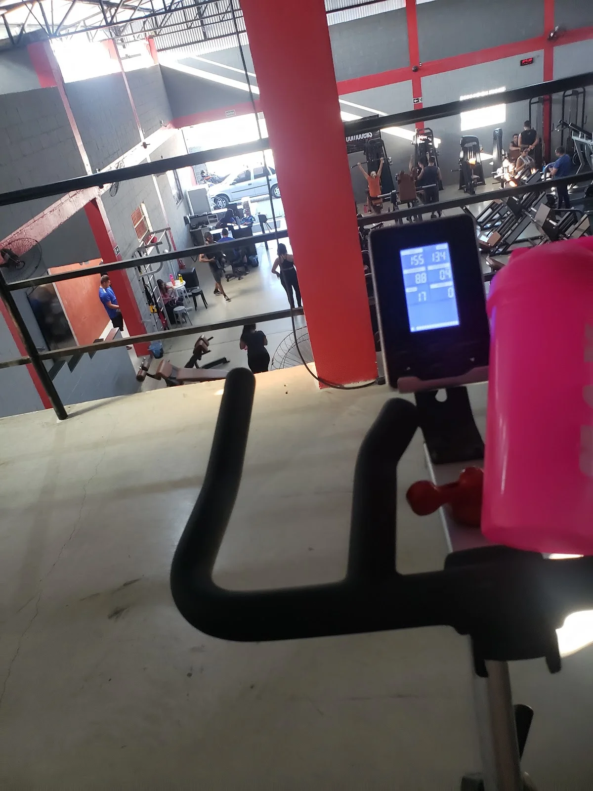 DUMBBELLS ACADEMIA D2