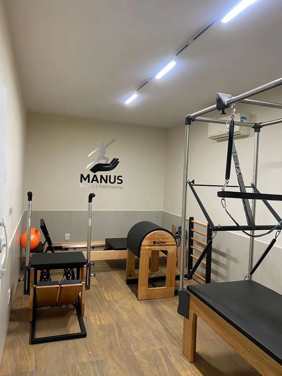 MANUS FISIO