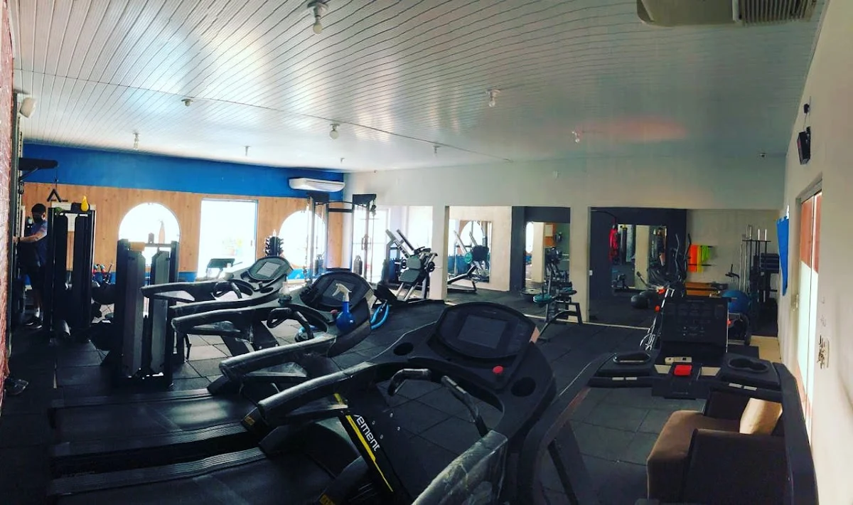 Blessed Studio Premium