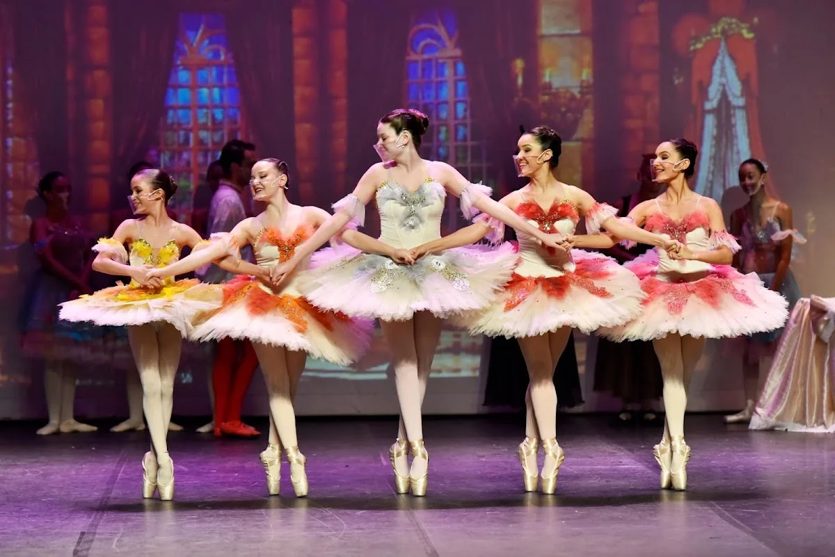 La Vie Danse - Bonsucesso