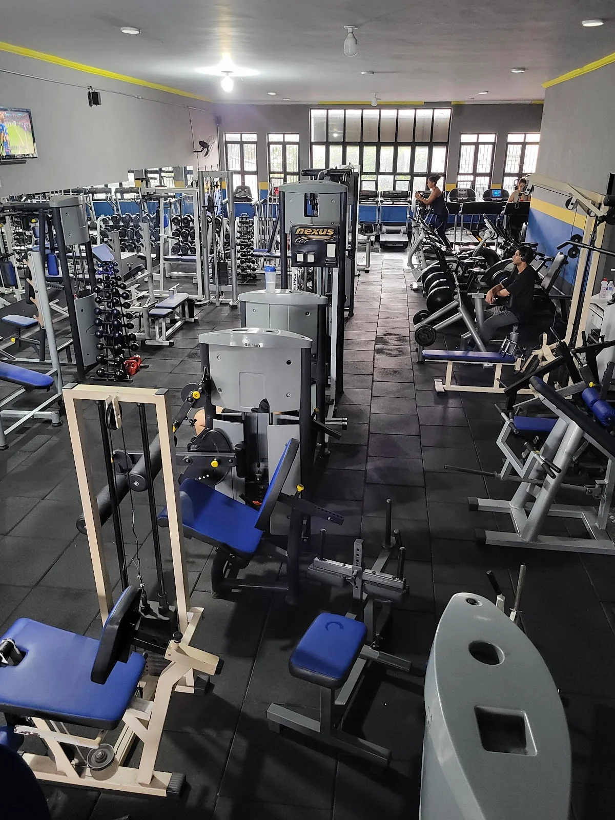 Viva Lá Vida