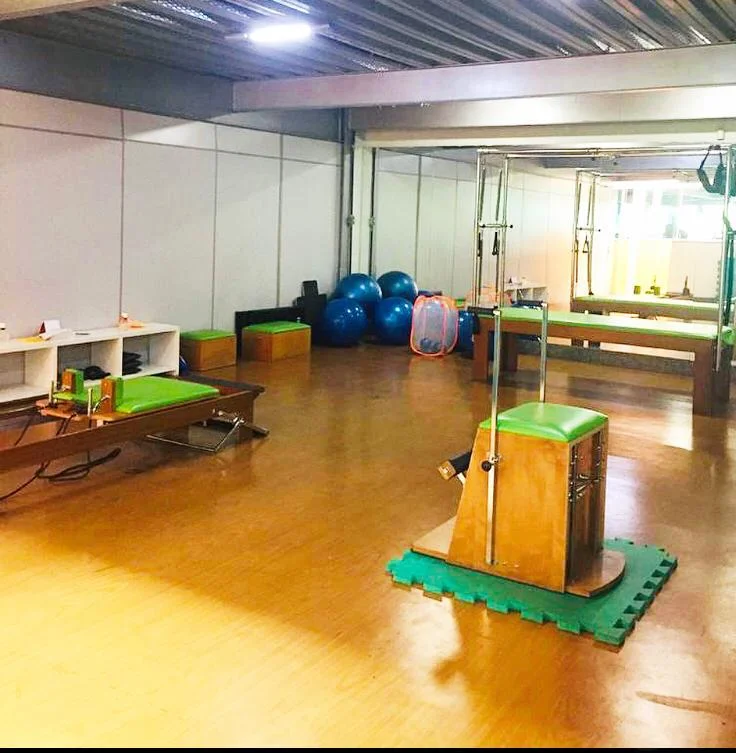 Fabiana Gonçalves Studio Pilates