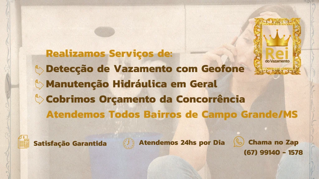 Rei do Vazamento