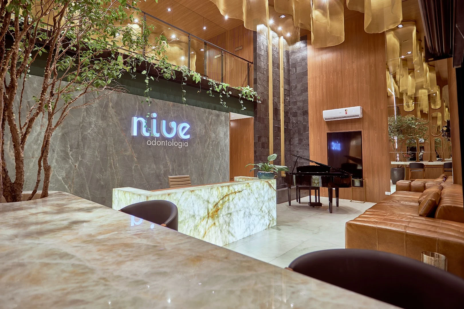 Nive Odontologia