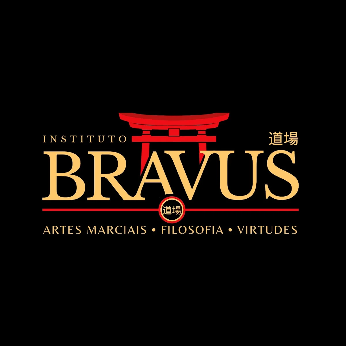 Instituto Bravus - Artes Marciais