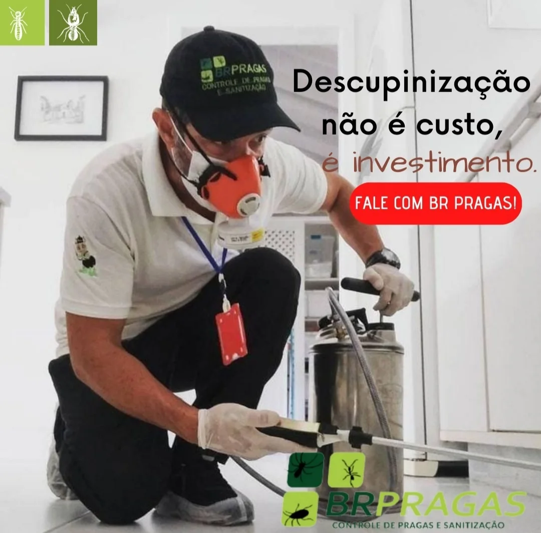 BR Pragas Campinas - Dedetização de cupins, ratos, baratas, escorpiões, formigas, pulgas, carrapatos e desentupimento