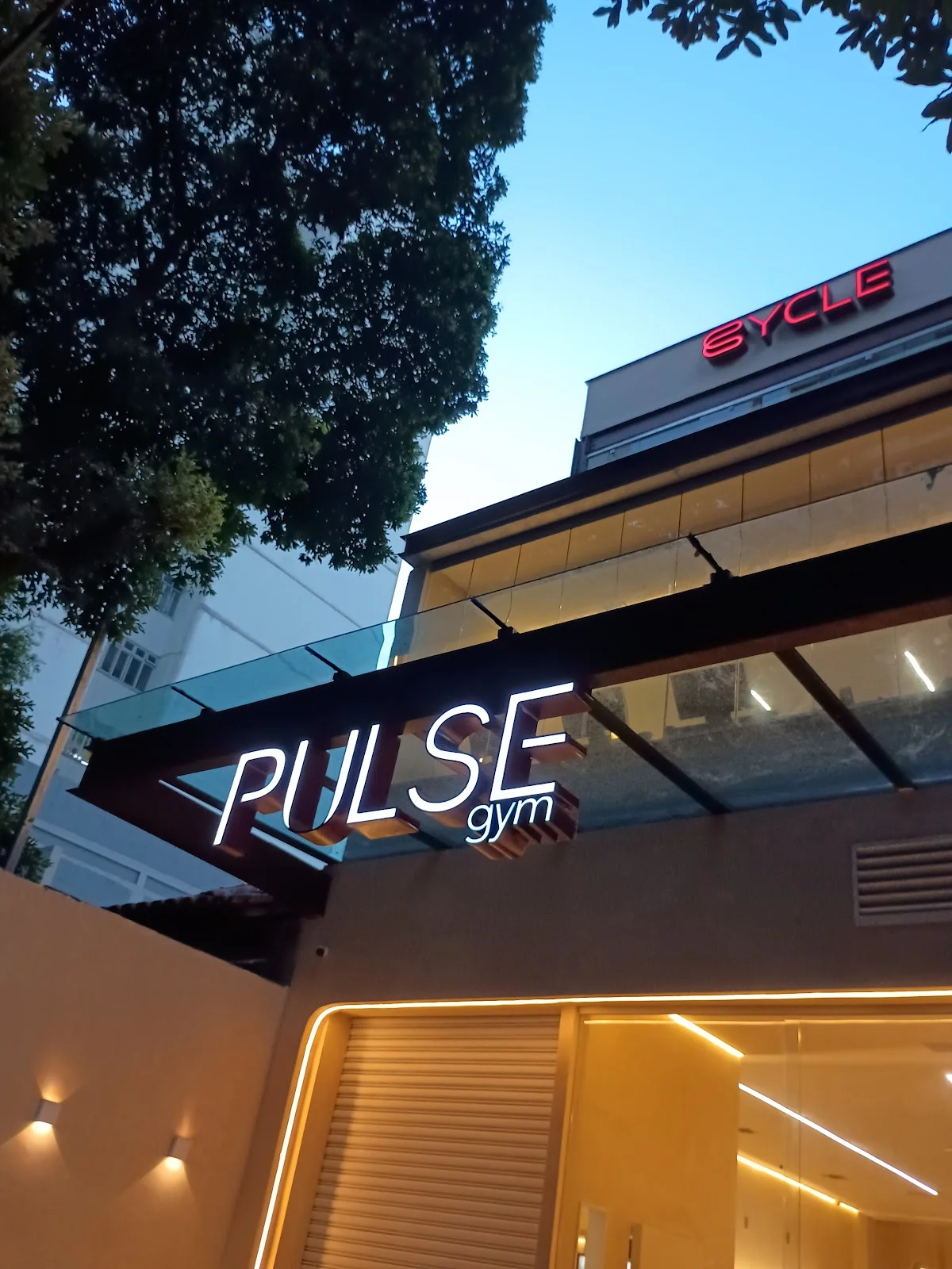 Pulse Gym