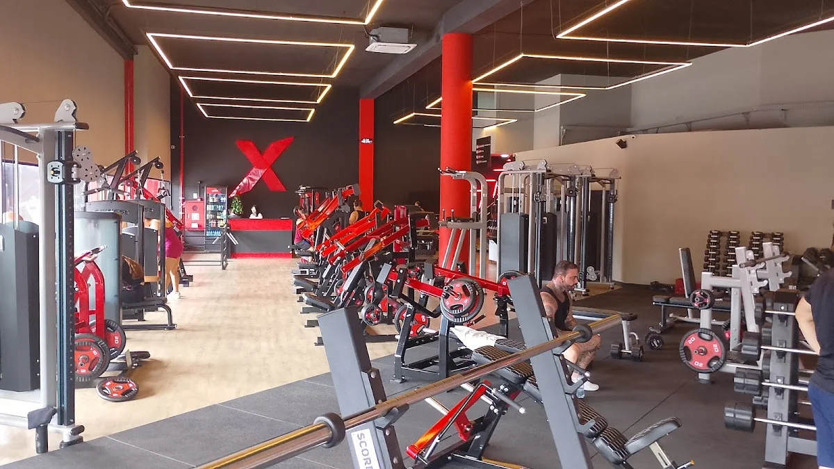 Pró Ex Company Academia - Jd Cocaia
