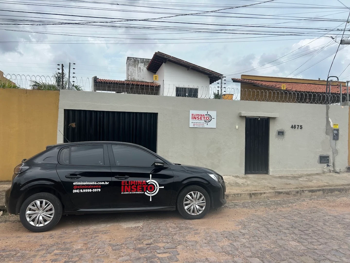 Dedetizadora Elimina Inseto