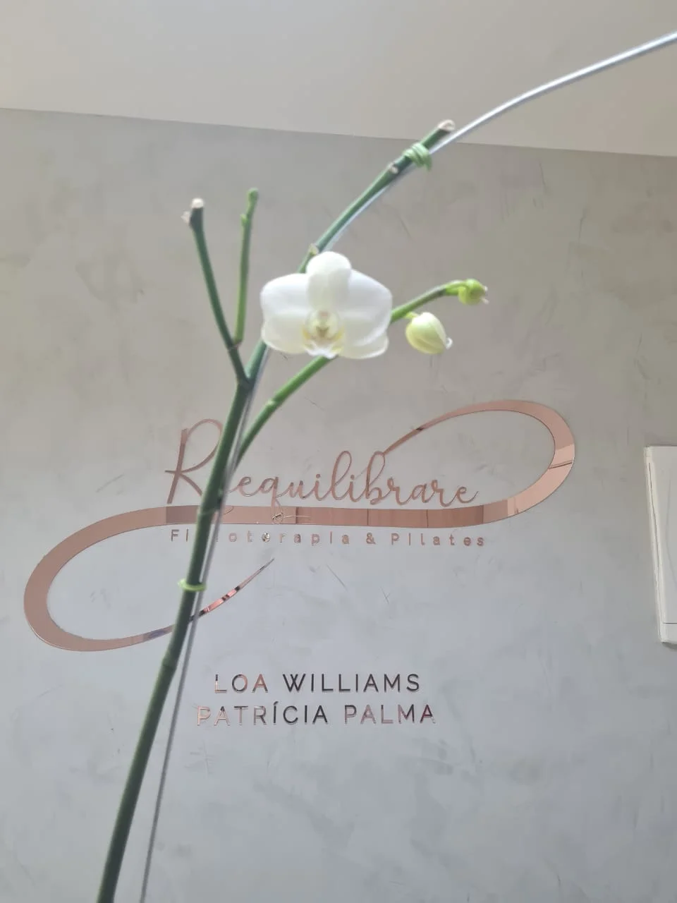 Studio Reequilibrare - Fisioterapia & Pilates