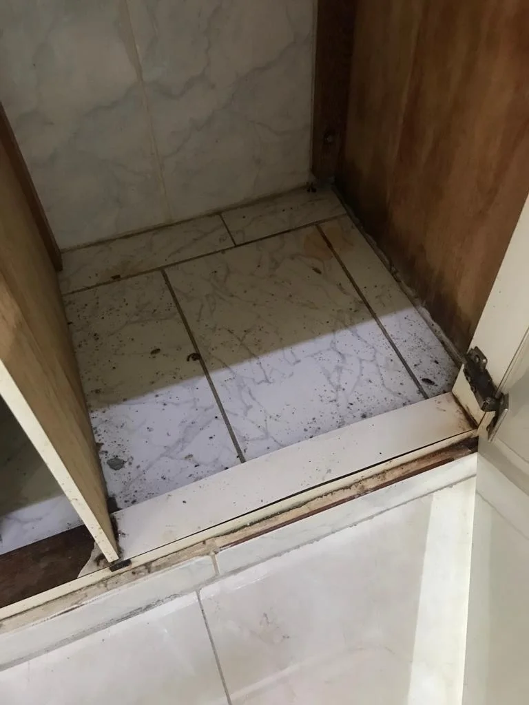 Dedetizadora Focar Ambiental