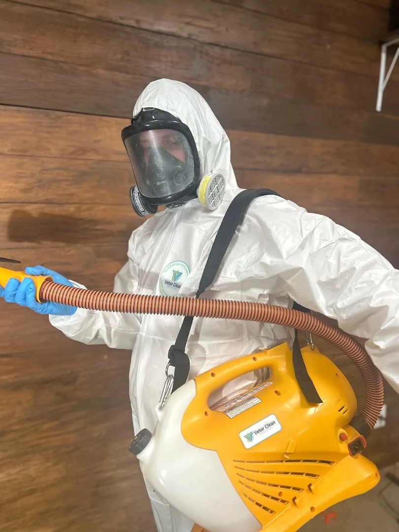 Vetor Clean Soluções