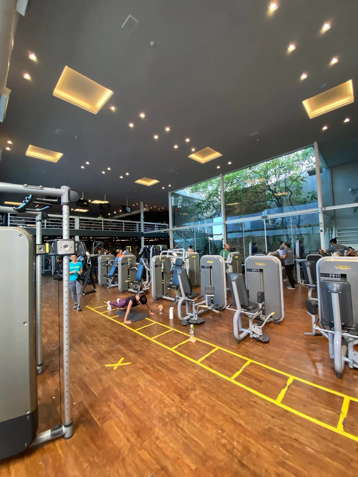 Top Fitness & Wellness
