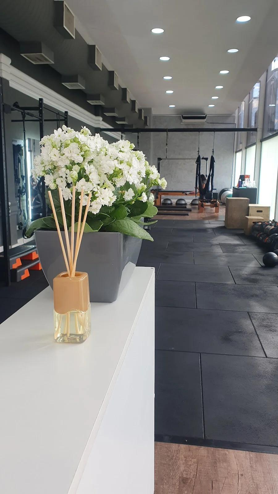 The Studio - Pilates e Treinamento Funcional